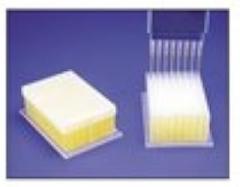 BELART - 96 Deep-Well Plate- Pp- Sterile, PK24