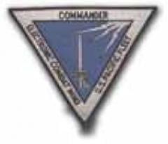 Navy Patches Commander Electronic Combat Wing US Pacific Fleet 6