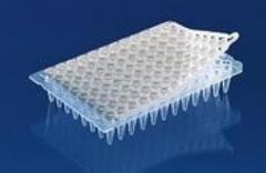 Brand - 24 Well qPCR Plate- PP No Skirt, PK40
