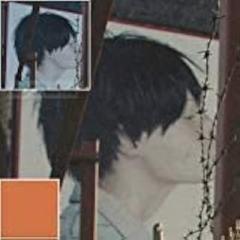 Hoya 49mm 81B Warming Glass Filter