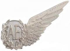 1000 Flags Limited Air Electronics Operator AE Royal Air Force RAF MOD Single Wing Pin Badge Brevet