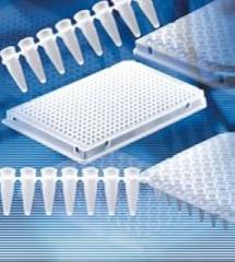 Brand - 96 Well qPCR Plate- PP- White- No Skirt, PK50