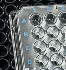 Brand - 384 Well Plate- Black- immunoGrade- F-Bot, PK50