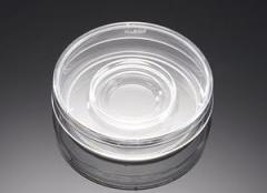 CORNING - Falcon 60mm Center Well Organ Cult Dish, TC-treat ed, Str, CS500