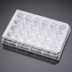 Corning BioCoat Matrigel Matrix Thin Layer 24 W ell Clear Flat Bot Mwell Plt- w/ Lid- NonStr, CS5