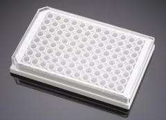 Corning BioCoat Collagen I 96 Well Wht Flat Bot TC-Treated Micro Plt- w/ Lid, CS50