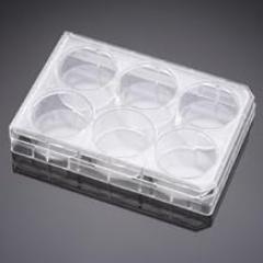 Corning BioCoat Poly-L-Lysine 6 Clear Flat Bot T C-Treated Mwell Plt- w/ Lid- NonStr, CS5