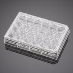 CORNBIO - Corning BioCoat Fibrillar Collagen Cell Cult Ins erts w/ 1.0 µm PET Membrane in Two 24 Well Plts, CS24