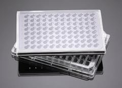 Corning FluoroBlok HTS 96 Mwell Insert System w/ 3.0 µm Pore HD PET Membrane, EA1