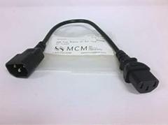 83-0090 1 FT IBM TYPE MONITOR AC EXTENSION CORD; CONNECTOR TYPE A:IEC 60320 C14; CONNECTOR TYPE B:IEC 60320 C13; CABLE LENGTH - IMPERIAL:1FT; CABLE LENGTH - METRIC:0.3M; JACKET COLOR:B