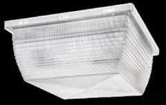 Fluorescent Vandal Proof Ceiling