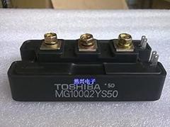 MG100Q2YS42 MG300Q1US1 MG400Q1US1-RXDZ