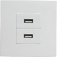 Dual U2.0 Port Wall Panel Socket 2 U Socket Panels 86x86mm