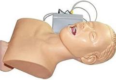 Oral and Nasal Intubation Manikin, Electronic Human endotracheal Intubation Manikin, Airway Management Trainer Simulator Model with Dental Pressure Alarm