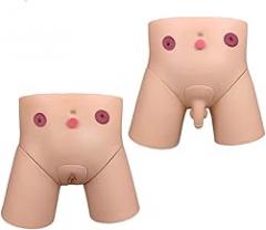 Manikin Anatomy Model Catheterization Model Male and Female Interchangeable Puncture Model Nursing Practice Catheterization Training Fake Human Body Model Electronic Teac