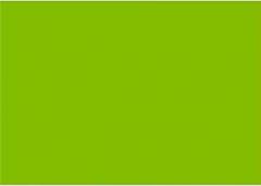 Taka-Jirushi 14-3576 Keiko Card, Plain, B5 Size, Green