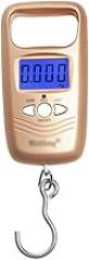 Utility Luggage Scale 50KG Digital Hanging Scale Double Precision Portable Electronic Pocket Scale Hanging Luggage Weighing Steelyard Weiheng Scale Weighing Weighing