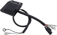 Electronic Igniter Box CU7486 UNIT 523.39.031.500 Compatible With 200SX 2003-2006 SX125 EXE125 SX150 200MX