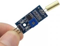 Tilt Sensor Module Switch SW-520D Angle Vibration Microcontroller Electronic Building Blocks Smart Robot