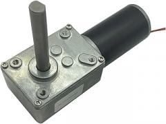 DC 24V Worm Geared Motors High Torque Volt Electronic Starter Reduction Self-Lock 5840-31ZY Packager 12V 260rpm