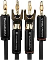Tributaries Model 4BW Bi-Wire Speaker Cables - Banana to Spade - Hand Assembled in Orlando, Florida - 14AWG & 16AWG (10FT)
