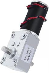 Worm Gear Reduction DC Electronic Starter 5840-31zy Double Short Output Shaft with Self-Locking Full Metal Gear 160RPM_24V