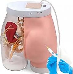 Buttock Injection Model, Electronic Hip Injection Training Simulator, Half-Transparent Buttock Muscle Injection Practice Model