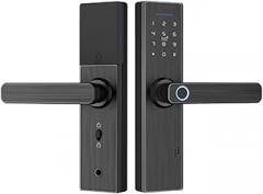 Tuya Intelligent Fingerprint Lock Password Unlock Electronic Lock Apartment Home Burglar Lock