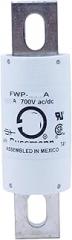 FWP-200A FWP-300A Electronic Component Fuse(FWP-300A)