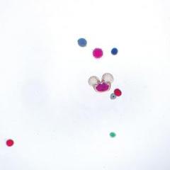 Mixed Pollen Grains Slide, w.m.