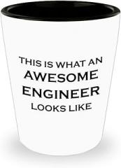 Gifts for Engineering Shot Glass Shotglass Novelty Drinkware - Engineer Engr Week Civil Chemical Electrical Electronic EC Industrial Mechanical Funny Idea - What Awesome Looks Like