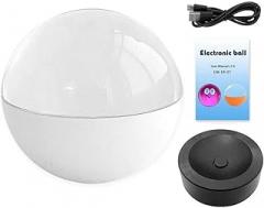 Crystal Ball with Electronic Display 2.7