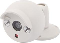 Human's Face Electronic security Battery Operated Home Security Dummy Dome Camera LED Flashing
