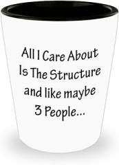 Gifts Idea for Engineering Shot Glass Shotglass Novelty Drinkware - Engineer Engr Week Civil Chemical Electrical Electronic EC Industrial Mechanical Funny - All I Care About is Structure and Like