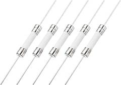 MECCANIXITY 5Pcs 250V 10A Fast Blow Fuse, 6 x 30mm Mini Axial Lead Ceramic Fuses for Holiday String Light LED Decor Electronics Equipment