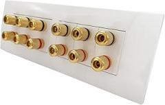 12 Port Gold Plated Binding Post Wall Plate Audio Speaker Connector Banana Plug Socket(195x70mm)