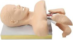 Electronic Adult Intubation Manikin Teaching Model,PVC Oral Nasal Tracheal Intubation Training Simulator Model with Alarm Function for Science Lab Education Adult