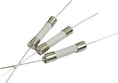 5pcs Ceramic Fuse Assortment 10A 12A 15A 20A 25A 30A 250V 6x30mm Axial Lead Miniature Electronic Component(25A)