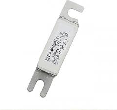170M1568 170M1569 170M1570 Electronic Component Quick Fuse(170M1570)