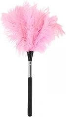 Hand Duster with Extendable Pole - Ostrich Plume Detail Brush Electrostatic Screen Cleaning Tool for Office Car Laptop Screen Keyboard TV (Pink)