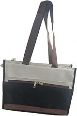 Women Laptop Tote Bag with Insulated Lunch Compartment Briefcase Computer Handbag for Electronics Accessories Outdoor Nurse, Black Brown