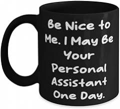 Brilliant Personal assistant Gifts, Be Nice to Me. I May Be Your Personal, Nice 11oz 15oz Mug For Friends From Colleagues, Electronic organizer, Day planner, Address book