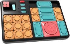 Sliding Block Puzzle Slide Brain Games 500+ Levelled UP Challenges Brain Teaser Puzzles Electronic Learning Educational Toys for Kids Adults (Black)