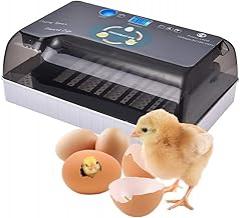 Automatic Egg Incubator, 12Eggs Electronic Poultry Hatcher with Digital LED Display Temperature Control Auto Egg Turning Turner for Hatching Chickens Ducks Goose Birds Pigeon Quail Eggs