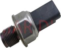 Fuel Sensor 28389852, 85PP61-01