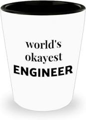 Gifts for Engineering Shot Glass Shotglass Novelty Drinkware - Engineer Engr Week Civil Chemical Electrical Electronic EC Industrial Mechanical Funny Idea Recognition Award Reward - Worlds Okayest