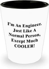Im an Engineer Shot Glass Shotglass Novelty Drinkware - Funny Gifts Idea for Engineering Engineer Engr Week Civil Chemical Electrical Electronic EC Industrial Mechanical - Normal Except Cooler