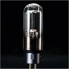 Vacuum Tube Rectifier A+c+m+e 845 Electronic Tube Replacement WE845 845 Vacuum Tube Factory Precision Match(1 Pcs)