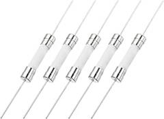 MECCANIXITY 5Pcs 250V 12A Fast Blow Fuse, 6 x 30mm Mini Axial Lead Ceramic Fuses for Holiday String Light LED Decor Electronics Equipment