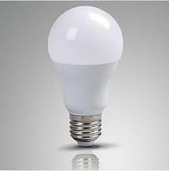 ATA ELECTRONIC 12 Volt Battery Operated Bulb Light 12V 12 Volt White Light Led Let Bulb Light Lighting 8W 8 Watts